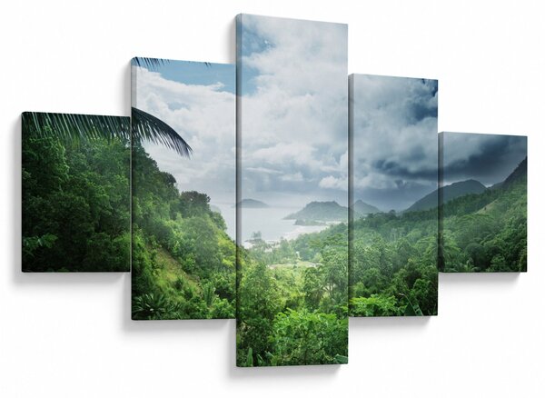 Obraz - Seychelská jungle (125x70 cm)