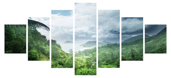 Obraz - Seychelská jungle (210x100 cm)