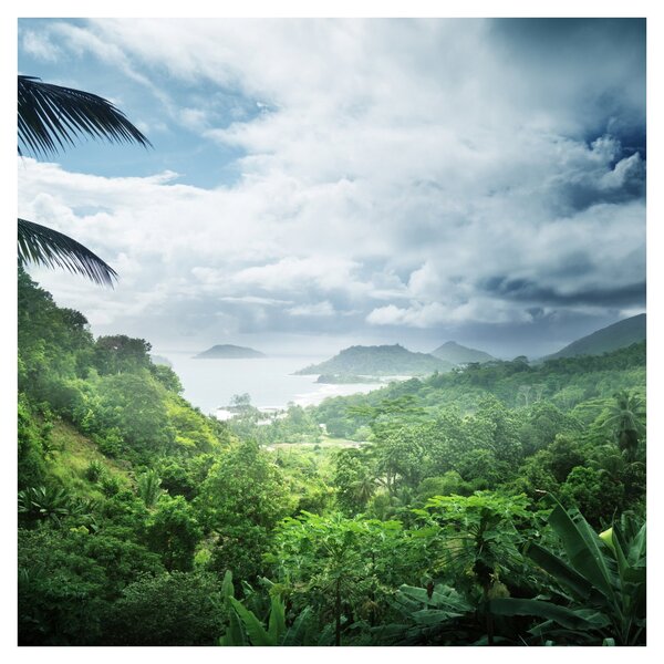 Obraz - Seychelská jungle (30x30 cm)