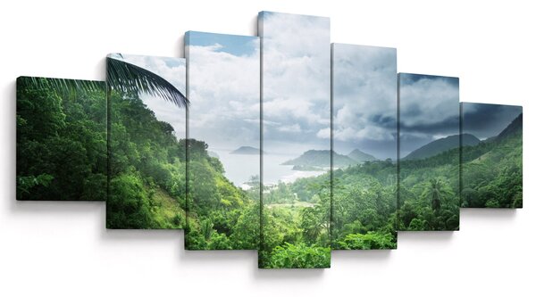 Obraz - Seychelská jungle (210x100 cm)