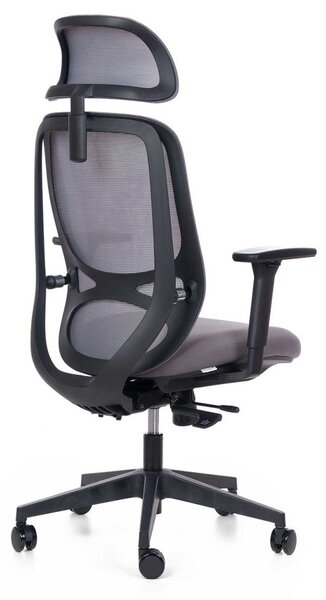 Kancelářská ergonomická židle Adapta - síť černá