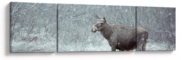 Obraz - Los v zasněženém lese (170x50 cm)