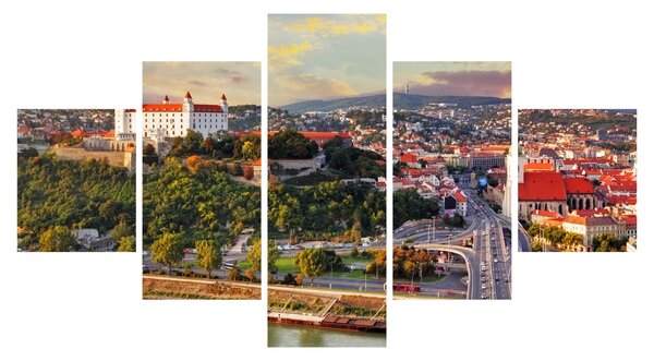 Obraz - Panorama Bratislavy, Slovensko (125x70 cm)