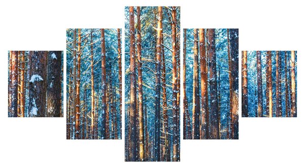 Obraz - Zimní les (125x70 cm)