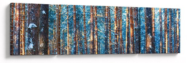 Obraz - Zimní les (170x50 cm)