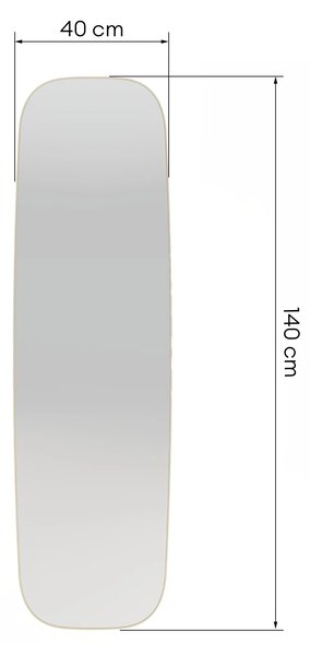 Hector Nástěnné zrcadlo Fina 40x140 cm zlaté