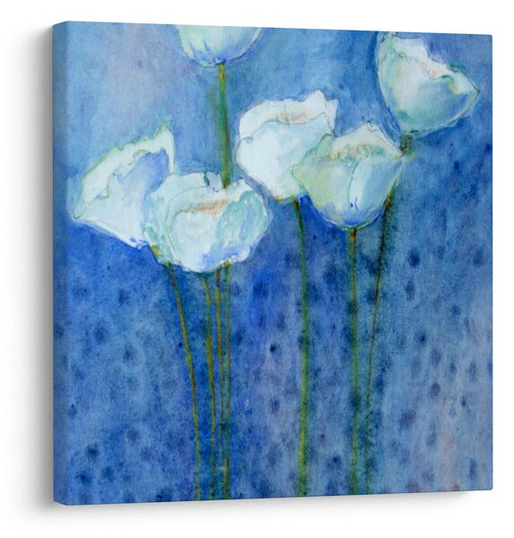 Obraz - Bílé tulipány (30x30 cm)