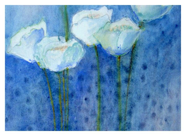 Obraz - Bílé tulipány (70x50 cm)