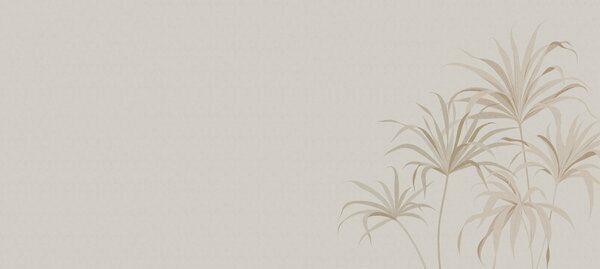 Fototapeta Jemná a nenápadná botanická elegance, Moderní fototapety, Populární fototapety, t00818 - Tapeko.co.cz