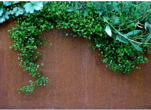Truhlík MAXI, corten, šířka 100 cm, hnědý