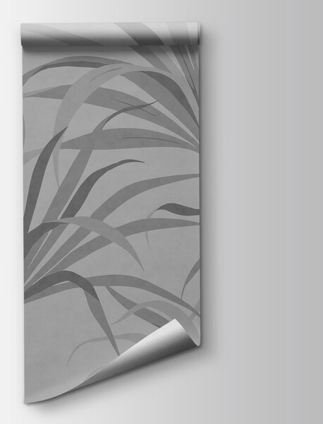 Fototapeta Šedé pozadí s listy, Fototapety s tropickým motivem, Populární fototapety, t00818v1 - Tapeko.co.cz