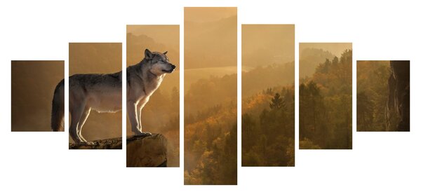 Obraz vlka na skále (210x100 cm)