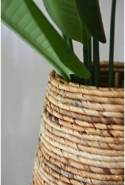 Pokojový květináč ROTA, vodní hyacint, průměr 46 cm, natur
