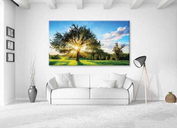 MALBA NA PLÁTNĚ, krajina a příroda, 180/100 cm Euroart - Obrazy na plátně