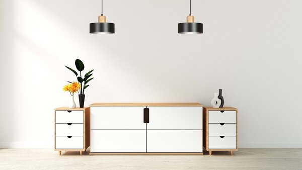Závěsné svítidlo TORIN 1 – černé, 1× E27, šířka 20 cm