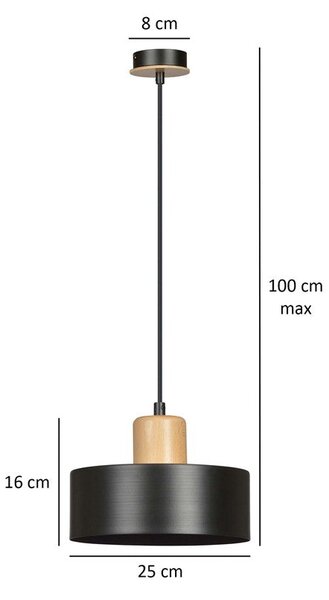 Závěsné svítidlo TORIN 1 – černé, 1× E27, šířka 20 cm