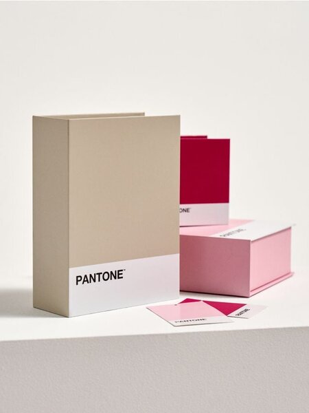 Sinsay - Úložná krabice Pantone - béžová