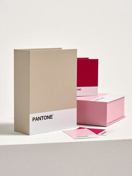 Sinsay - Úložná krabice Pantone - béžová