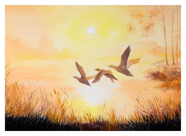 Obraz - Jeřábi při západu slunce (70x50 cm)