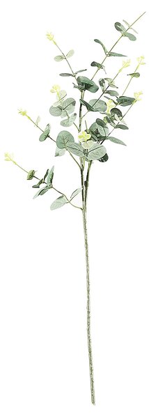Květina um. Eukalyptus 90cm