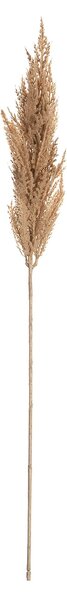 Větvička pampové trávy 90cm beige