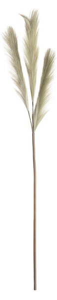 Pampová tráva 110cm green