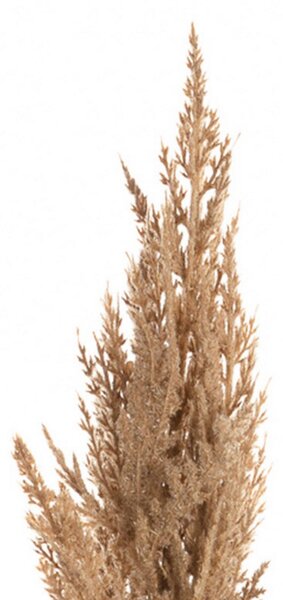 Větvička pampové trávy 90cm beige