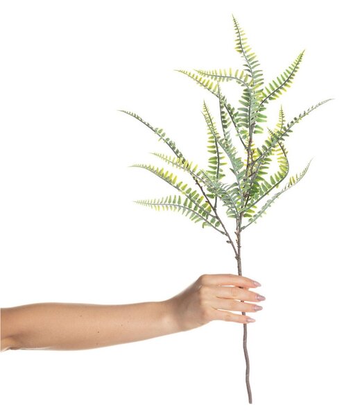 Kapradí na větvičce 60cm