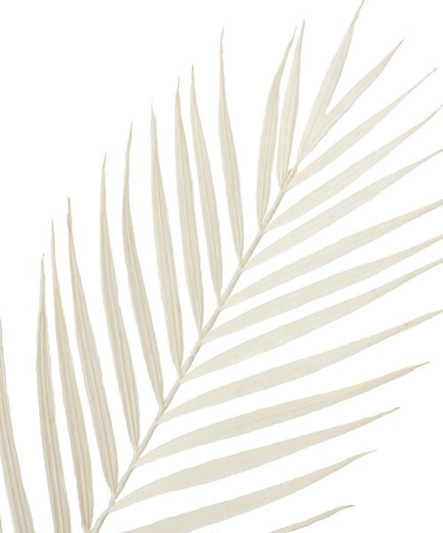 Dekorativní větvička Palmera 95 cm white
