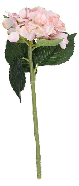 Větvička hortenzie 50 cm