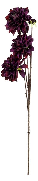 Větevicka dahlie 90 cm