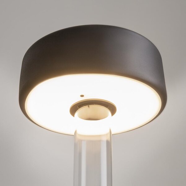 Maytoni Přenosná stolní stmívatelná LED lampa jejíž vzhled navrhla AI, 3W, v. 34,8 cm, 2200K-4000K, IP20 Barva: Černá/Čirá