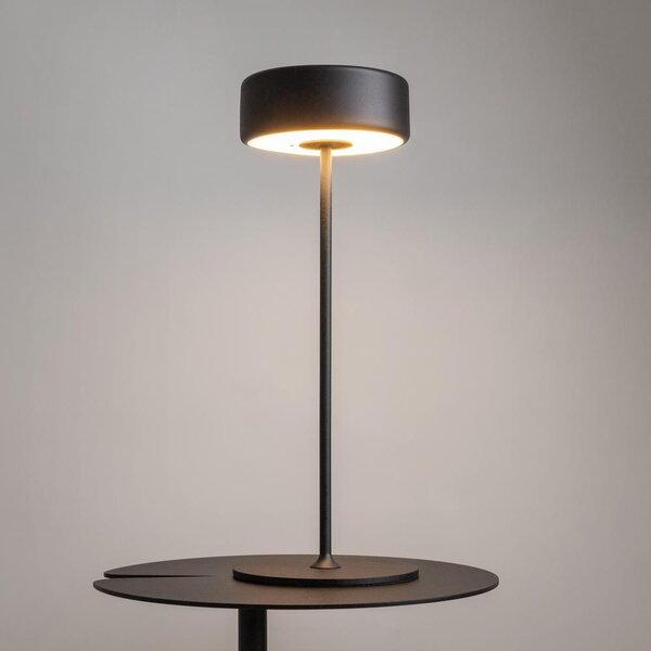 Maytoni Přenosná stolní stmívatelná LED lampa jejíž vzhled navrhla AI, 3W, v. 34,5 cm, 2200K-4000K, IP20 Barva: Zlatá