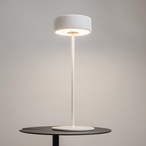 Maytoni Přenosná stolní stmívatelná LED lampa jejíž vzhled navrhla AI, 3W, v. 34,5 cm, 2200K-4000K, IP20 Barva: Zlatá