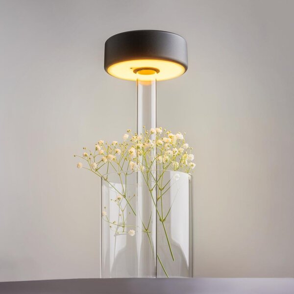 Maytoni Přenosná stolní stmívatelná LED lampa jejíž vzhled navrhla AI, 3W, v. 34,8 cm, 2200K-4000K, IP20 Barva: Černá/Čirá