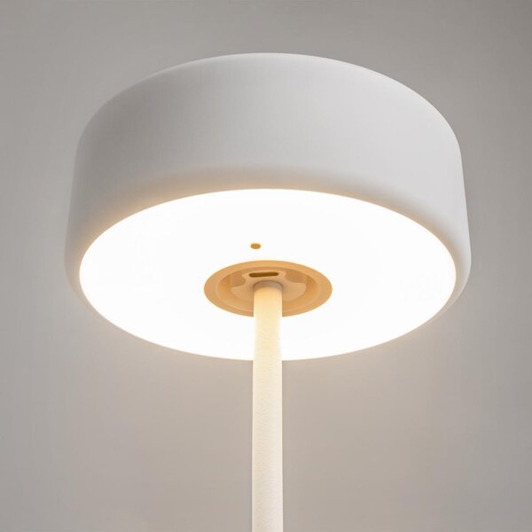 Maytoni Přenosná stolní stmívatelná LED lampa jejíž vzhled navrhla AI, 3W, v. 34,5 cm, 2200K-4000K, IP20 Barva: Zlatá