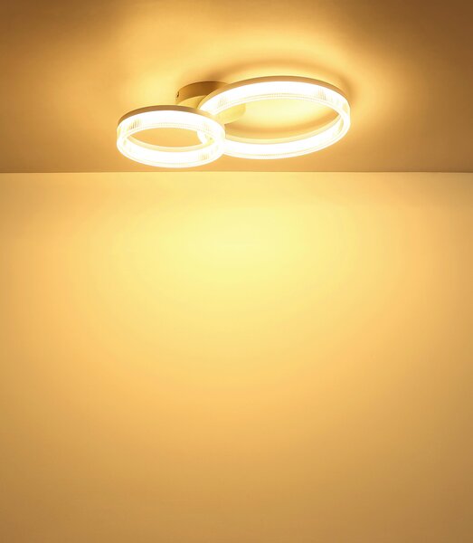 STROPNÍ LED SVÍTIDLO, 50/33/12,3 cm - Stropní svítidla