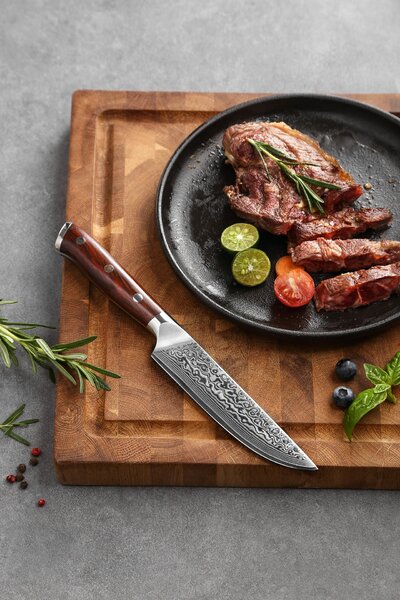 Steakový nůž XinZuo Yu B13R 5"