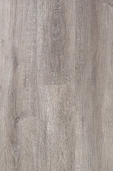 CANADIAN DESIGN Dry back canadian Regina 8594187731281 - 3.62 m2