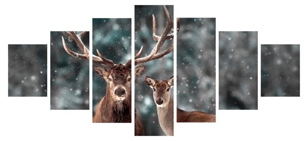 Obraz - Jelen a laň v zasněženém lese (210x100 cm)