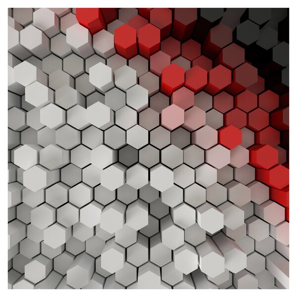 Obraz - 3D hexagony (30x30 cm)