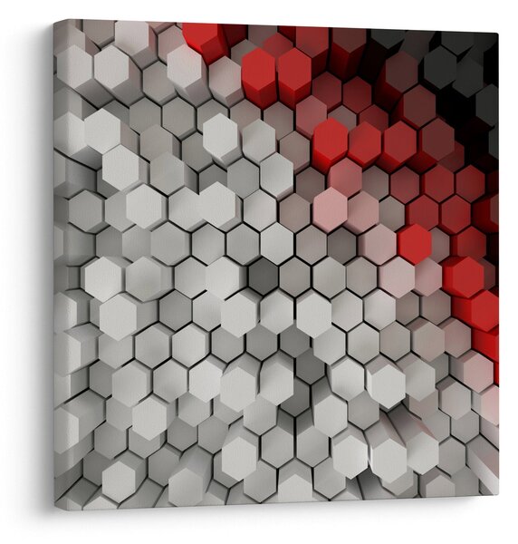 Obraz - 3D hexagony (30x30 cm)