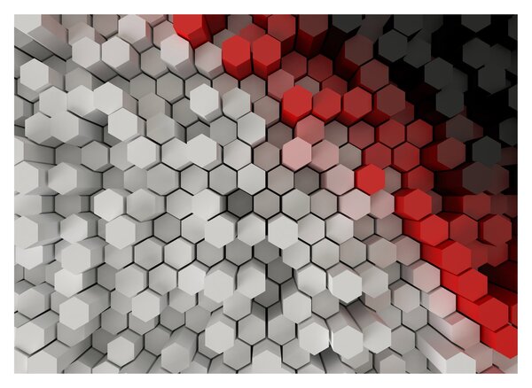Obraz - 3D hexagony (70x50 cm)