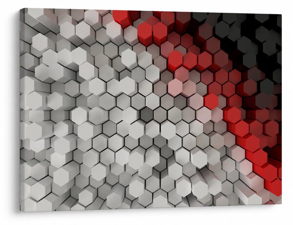 Obraz - 3D hexagony (70x50 cm)