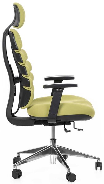 Mercury kancelářská židle SPINE zelená s PDH