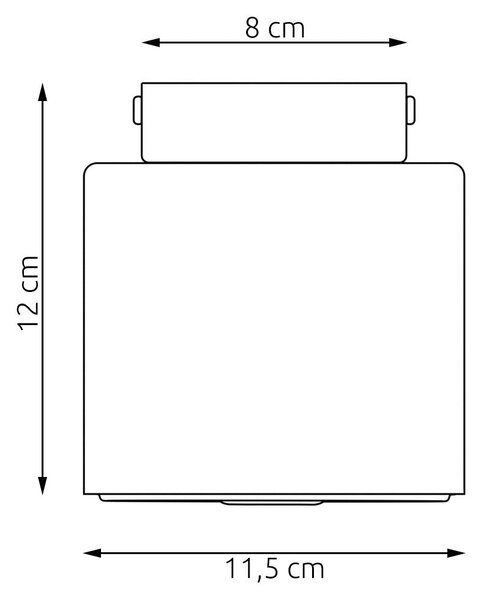 Stropní svítidlo NANO 1 – vínové, 1× GU10 AR111, šířka 12 cm