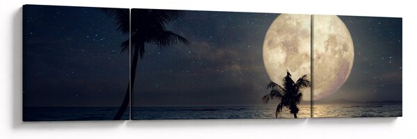 Obraz - Pláž za úplňku (170x50 cm)
