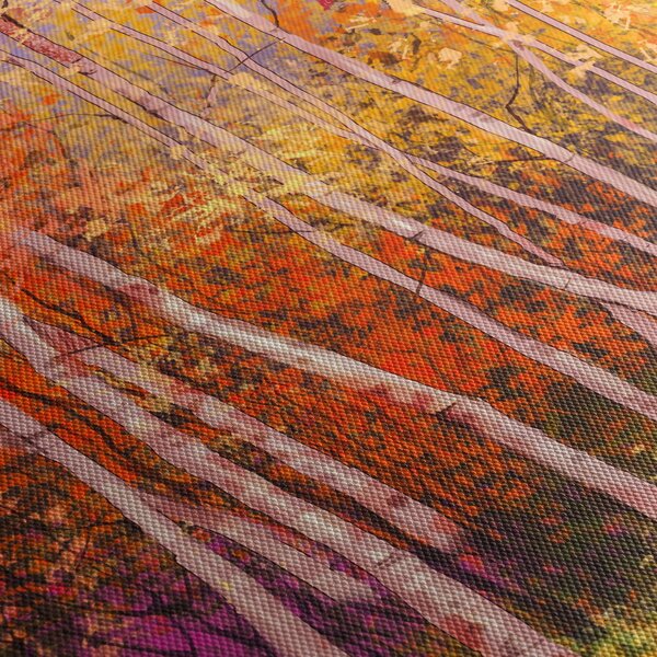 Obraz barevného lesa (125x70 cm)