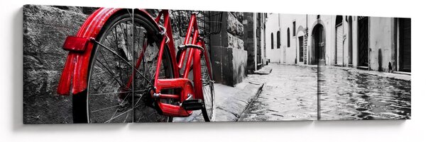 Obraz červeného kola na dlážděné ulici (170x50 cm)