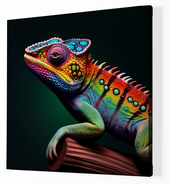 Obraz na plátně - Barevná ještěrka FeelHappy.cz Rozměr obrazu (Šířka x Výška): 60 x 60 cm